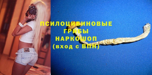 ешки Алексеевка